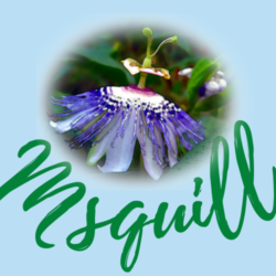 msquill logo